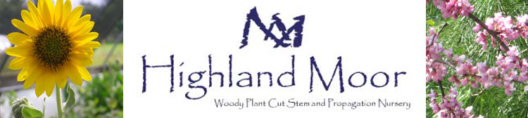 Highland Moor Catalogs