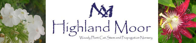 Contact Highland Moor