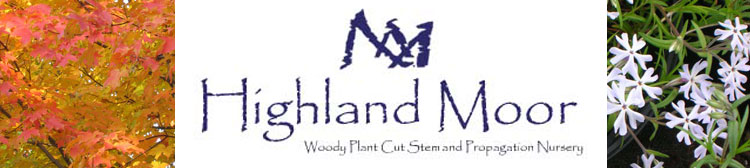 Highland Moor Wholesale Nursery Stock