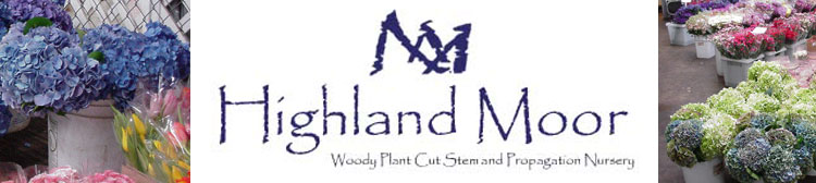Highland Moor products