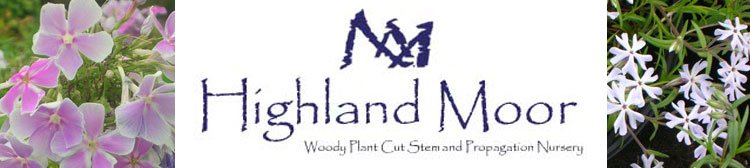 Highland Moor Perennials