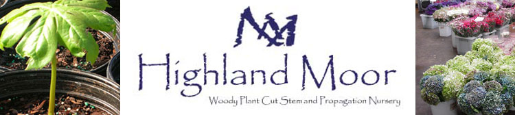 Highland Moor products