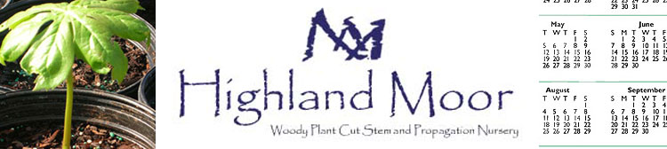 Highland Moor shipping